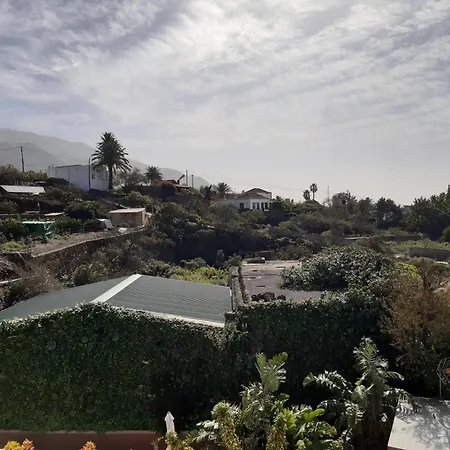 Dos Palmas El Paso